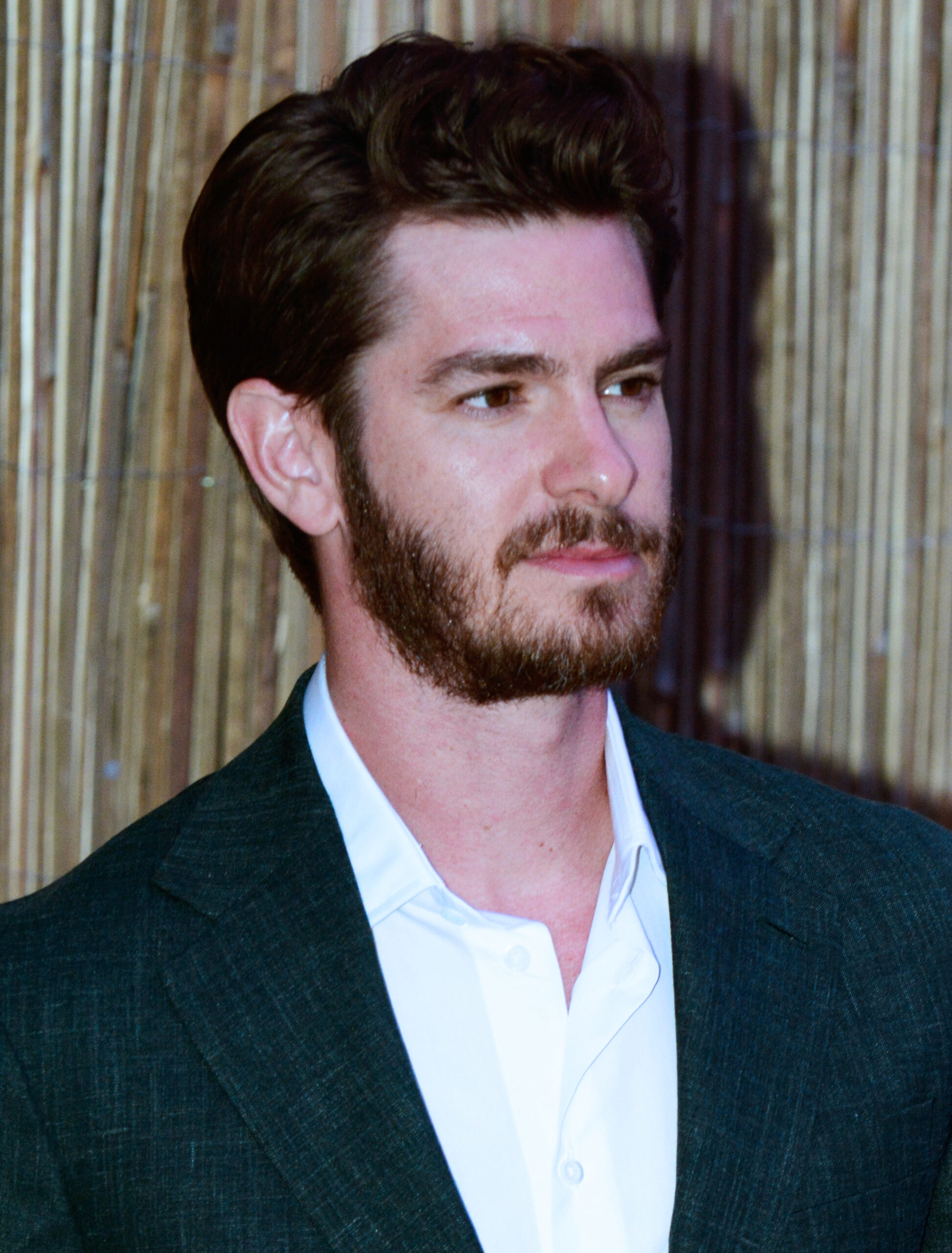 A portrait of Andrew Garfield in 2023