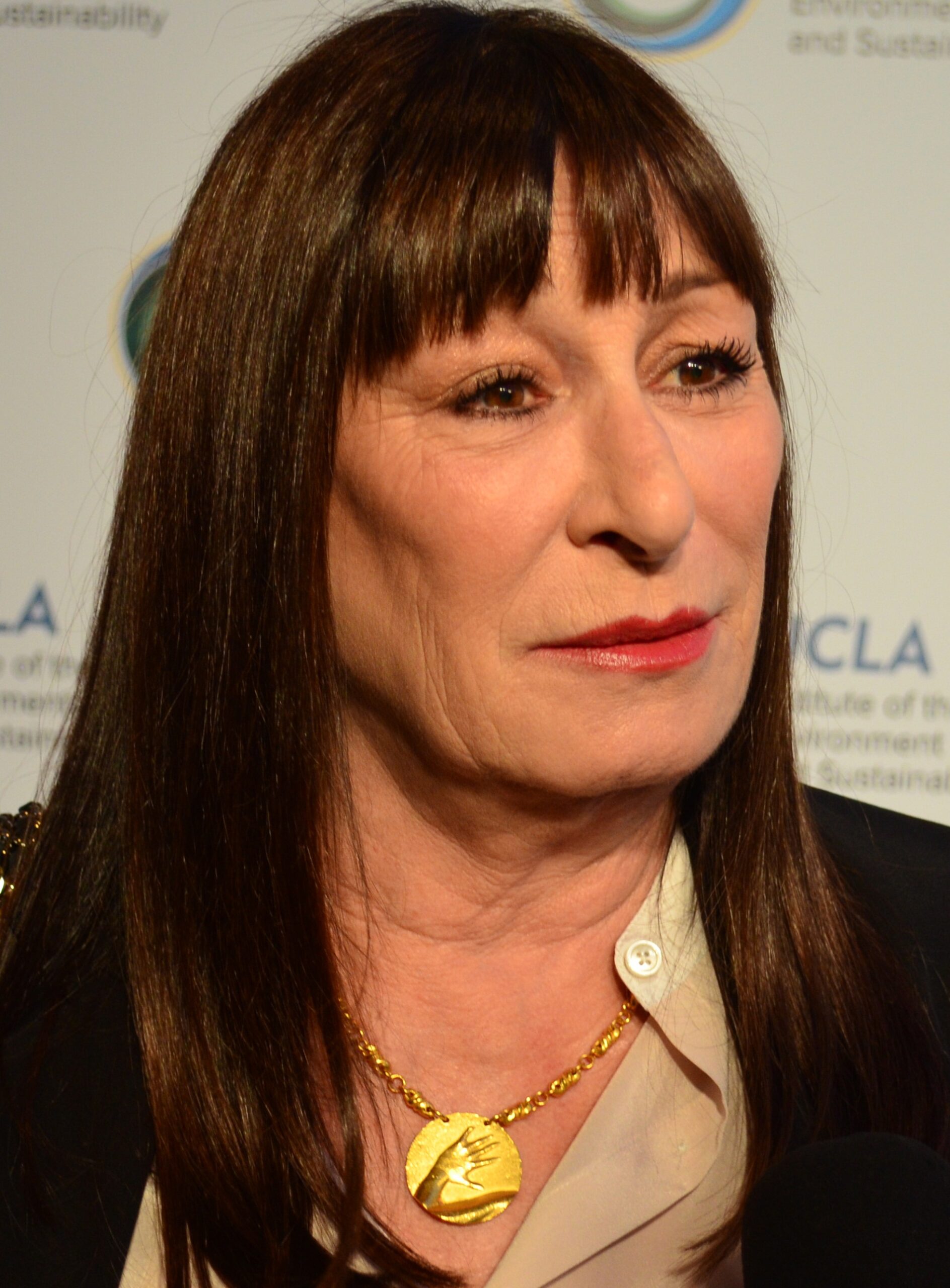 A picture of Angelica Huston