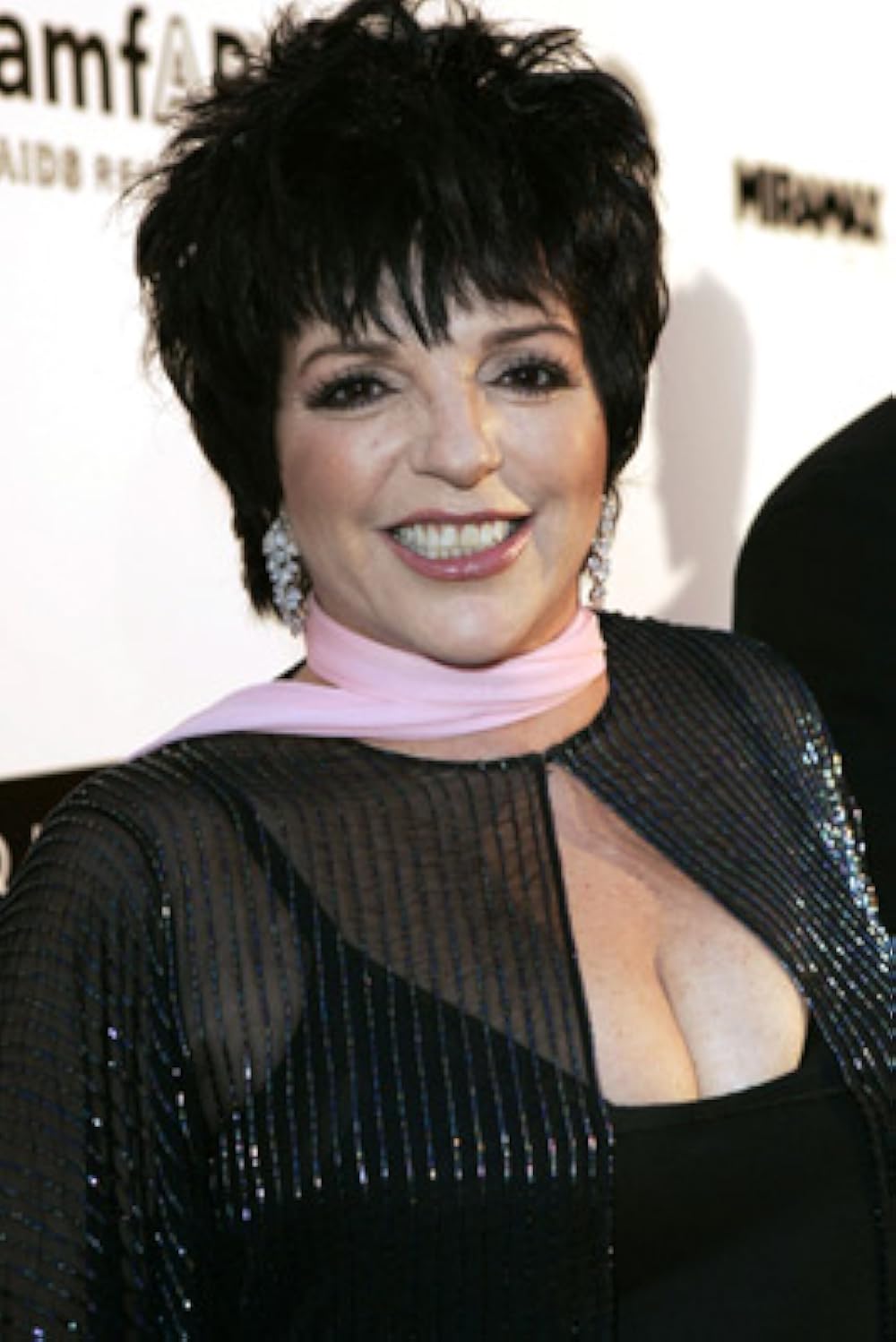 A photo of Liza Minnelli